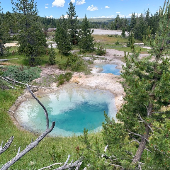 Meet your Posher, Kelly - Picture 5 of 7